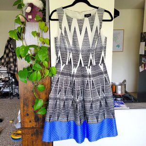 Tahari Fit and Flare Pleated Dress